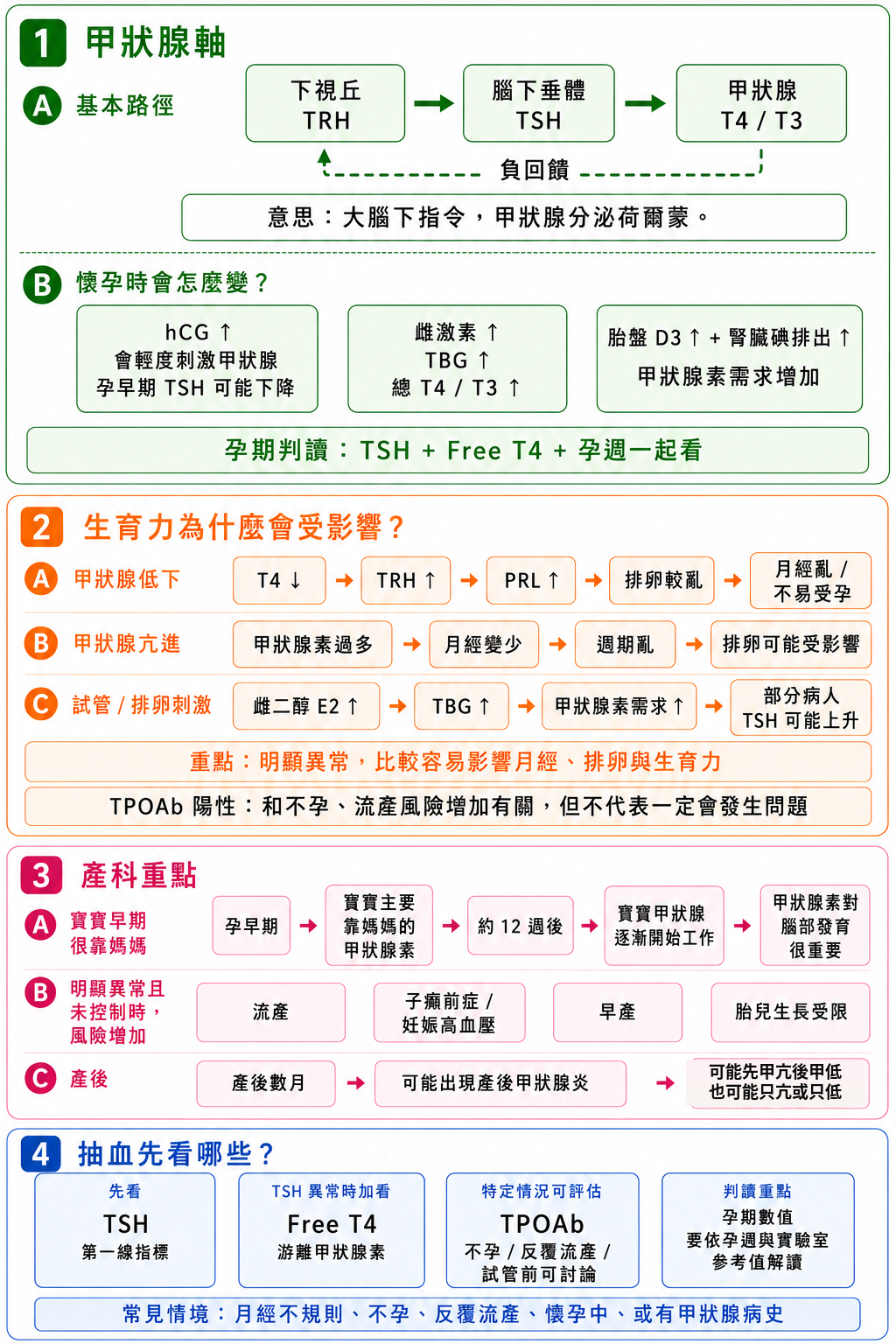 甲狀腺與懷孕四格圖。① 甲狀腺軸：下視丘、腦下垂體與甲狀腺以負回饋互相調節；懷孕時人類絨毛膜促性腺激素會輕度刺激甲狀腺，使第一孕期甲狀腺刺激素可能下降，雌激素上升使結合球蛋白與總甲狀腺素上升，甲狀腺素需求增加，孕期判讀要把甲狀腺刺激素、游離甲狀腺素與孕週一起看。② 生育力：甲狀腺低下或亢進明顯異常時較容易影響月經、排卵與受孕；甲狀腺過氧化酶抗體陽性與不孕、流產風險增加有關，但不代表一定發生。③ 產科：胎兒早期主要靠媽媽的甲狀腺素，約十二週後自己甲狀腺逐漸接手；明顯異常又未控制時流產、子癲前症、早產、胎兒生長受限風險增加，產後數月可能出現產後甲狀腺炎。④ 抽血先看甲狀腺刺激素，異常時加看游離甲狀腺素，特定情況可評估甲狀腺過氧化酶抗體，孕期數值依孕週與實驗室參考值解讀。此為示意。