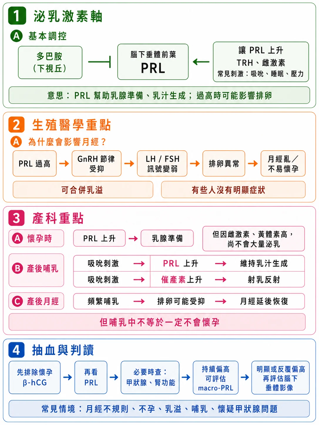 泌乳激素軸圖解：下視丘多巴胺調控腦下垂體前葉分泌泌乳激素，泌乳激素過高會影響月經與排卵，懷孕與哺乳時的生理變化，以及抽血判讀的順序