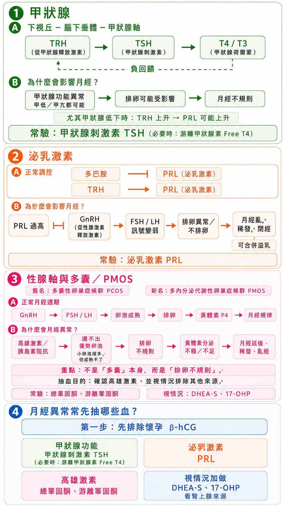 月經異常抽血邏輯圖，分四部分。① 甲狀腺：下視丘分泌促甲狀腺釋放激素、腦下垂體分泌甲狀腺刺激素、甲狀腺分泌 T4／T3；甲狀腺功能異常會影響排卵、造成月經不規則，甲狀腺低下時泌乳激素可能上升，常驗甲狀腺刺激素。② 泌乳激素：正常時多巴胺抑制、促甲狀腺釋放激素刺激；泌乳激素過高會抑制促性腺激素釋放激素、使濾泡刺激素與黃體生成素訊號變弱，造成排卵異常與月經亂，可合併溢乳，常驗泌乳激素。③ 性腺軸與多囊：正常週期是促性腺激素釋放激素到濾泡刺激素黃體生成素到卵泡成熟到排卵到黃體素到月經規律；多囊時高雄激素與胰島素阻抗使卵巢遲遲選不出優勢卵泡、慢性不排卵、黃體素分泌不穩或不足、月經延後或稀發，核心是排卵不規則，常驗總睪固酮與游離睪固酮、視情況加脫氫表雄酮硫酸鹽與 17-羥基黃體酮。④ 月經異常常先抽的血：先驗孕排除懷孕、再驗甲狀腺、泌乳激素、雄性素，視情況加脫氫表雄酮硫酸鹽與 17-羥基黃體酮看是不是腎上腺來源。此為示意。